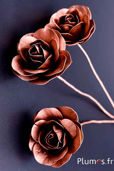 Rose en Bois - diam. 8 cm - bronze